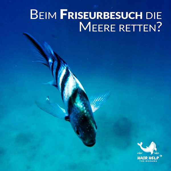 Nachhaltige Haarverwertung – Hair Help the Ocean im Friseursalon in München